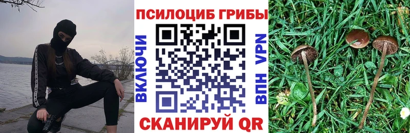Псилоцибиновые грибы GOLDEN TEACHER  Нестеровская 